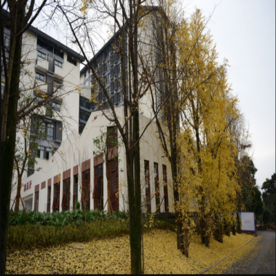 軟瓷行業(yè)蓬勃發(fā)展，更加廣闊的布局